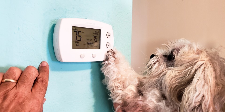 6 Things You Should Know About Emergency Heat